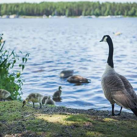 Hotel Finlandia Imatran Kylpylae Imatra